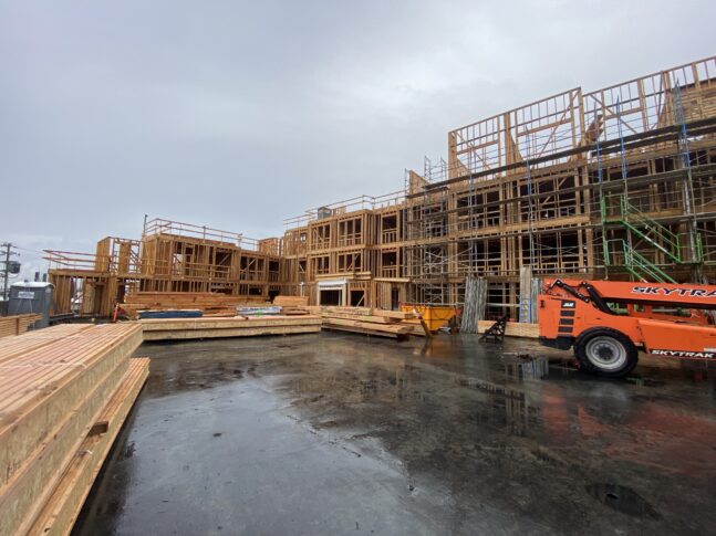 Timber Street Senior Housing, affordable housing, Newark, California, courtyard<br /><small>VMWP</small>