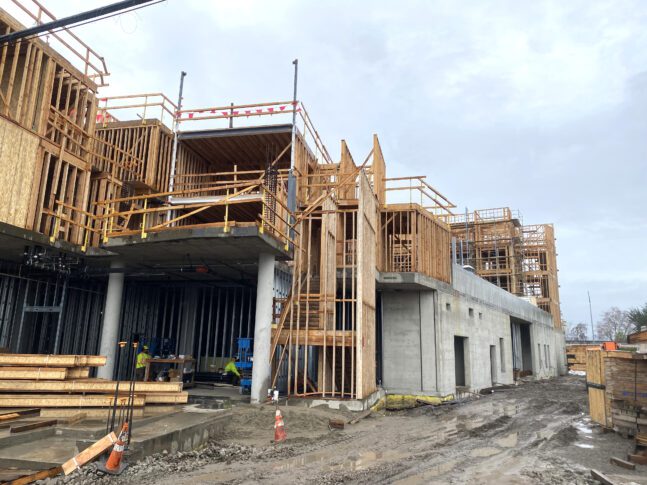 Timber Street Senior Housing, affordable housing, Newark, California, side entry<br /><small>VMWP</small>